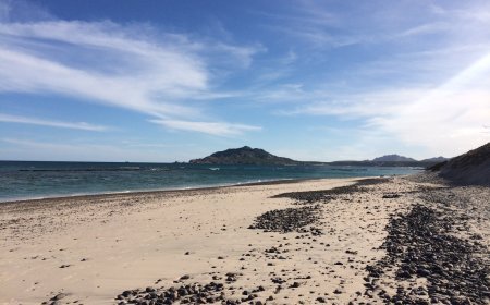 Cosas para hacer en La Ribera, Baja California Sur