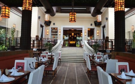 Sumérgete en una experiencia gastronómica