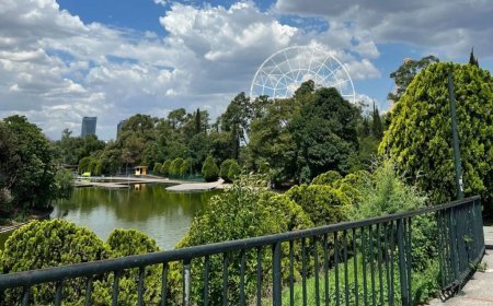 CDMX sigue sorprendiendo con un nuevo parque