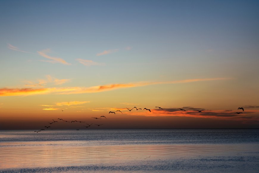 Sumérgete en la joya de Campeche, Playa Bahamitas
