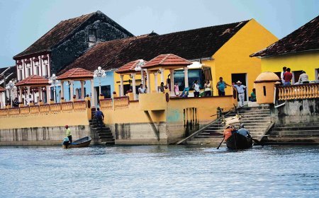 6 Aventuras que no te Puedes Perder en Palizada, la Joya Mágica de Campeche