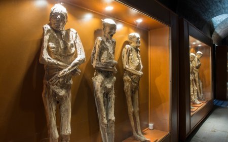 Viaja a Guanajuato y asiste a su exhibición de las momias viajeras