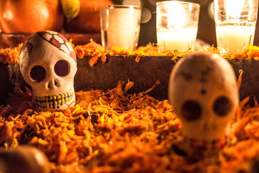 Descubre la mística historia de la mariposa monarca relacionada con el Día de Muertos