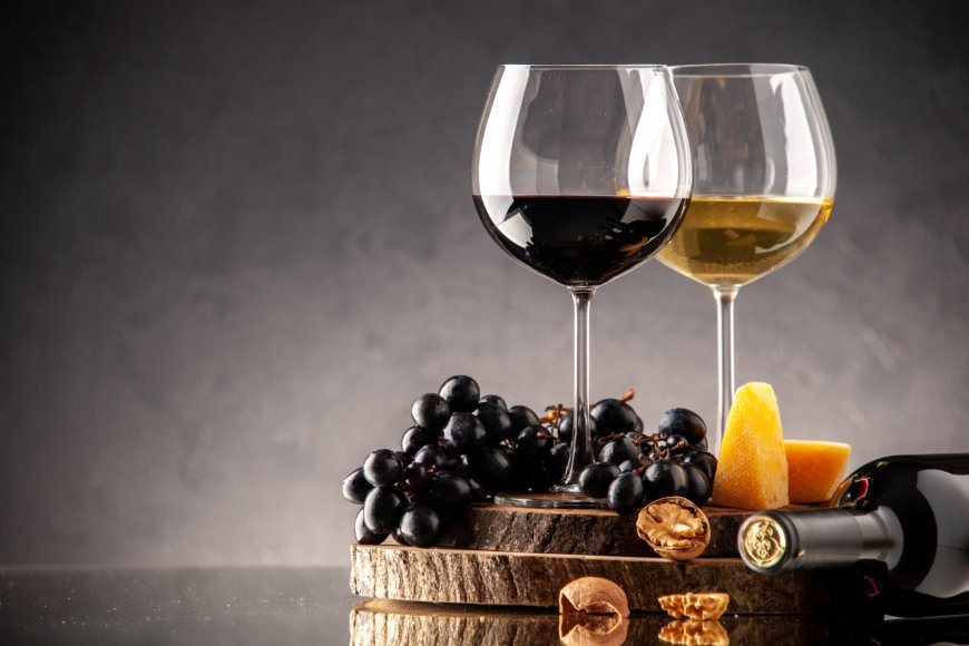 Asiste al VINOFEST Internacional 2023 en Querétaro