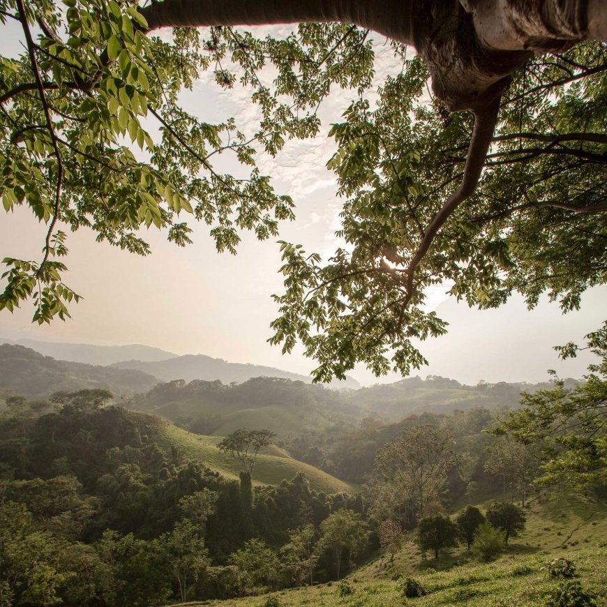 La ruta de la fe, Santa Catarina Juquila