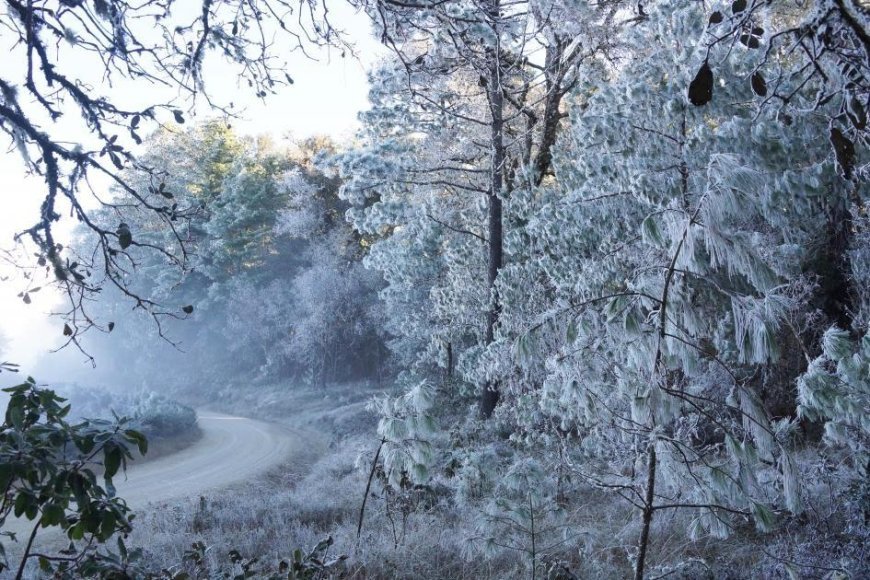 Ixtlán de Juárez, el mejor lugar para disfrutar de la nieve en Oaxaca.