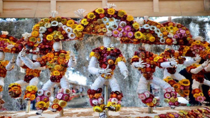 NACIMIENTO Y DANZATES DE LA PLUMA