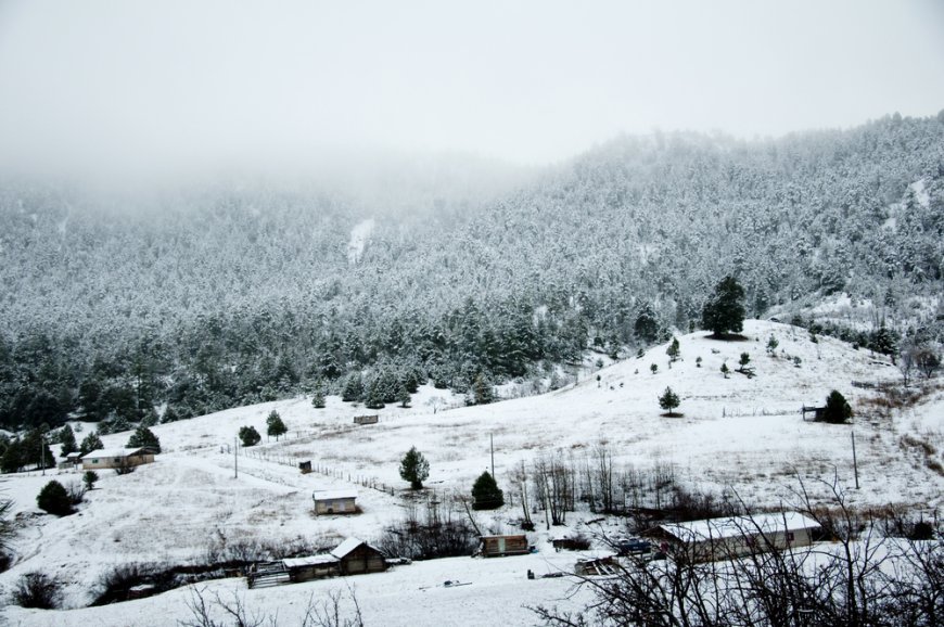 Todo lo que necesitas saber para un viaje por la Sierra Tarahumara en la temporada invernal