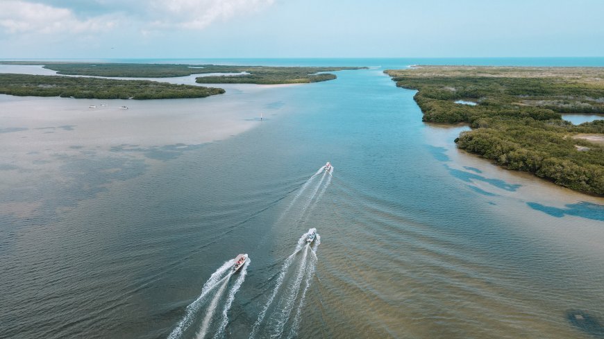 6 Hoteles  en Río Lagartos para disfrutar un fin de semana
