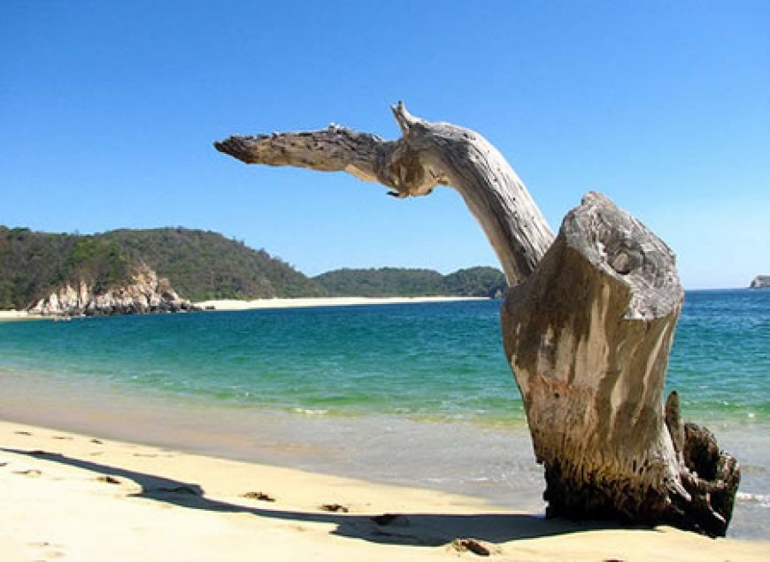 Playa San Agustín Huatulco