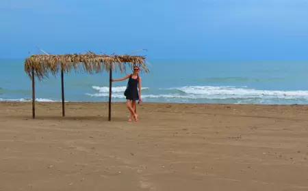 Tres playas de Veracruz que ahora son santuarios protegidos