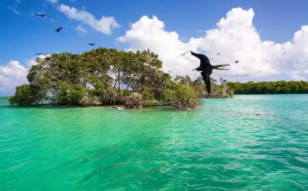 ¿Viajas al caribe? Conoce una playa poco visitada y paradisiaca