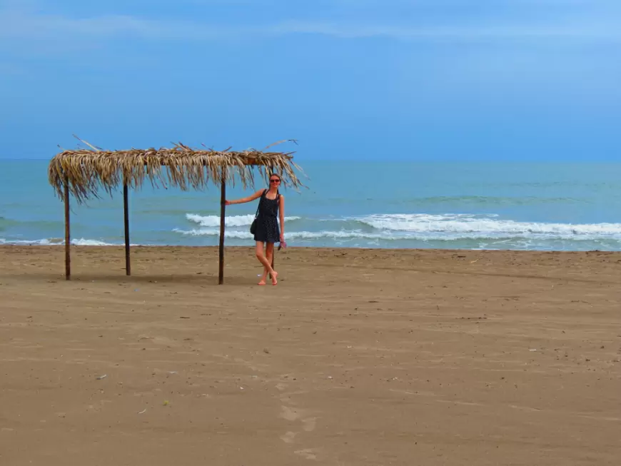 Tres playas de Veracruz que ahora son santuarios protegidos