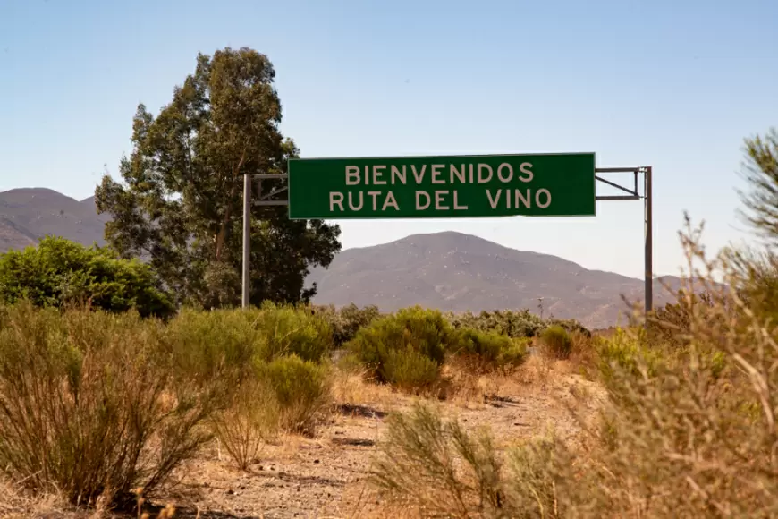 Un viaje romántico por el Valle de Guadalupe