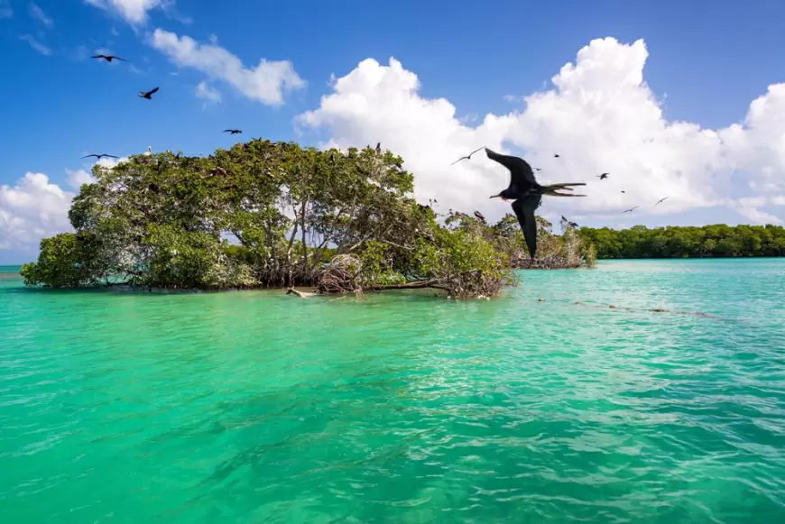 ¿Viajas al caribe? Conoce una playa poco visitada y paradisiaca