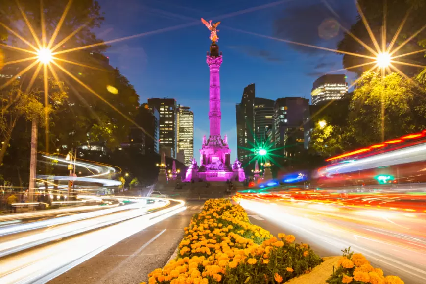 Descubre la CDMX floreada y colorida, en el Festival Flores de Orquídeas 2024