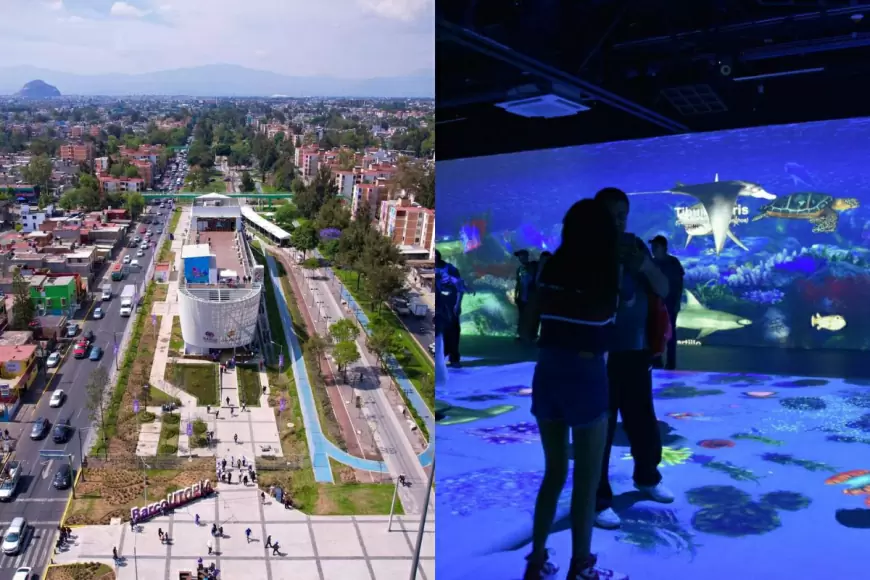 ¡5 Actividades para explorar CDMX sin gastar un solo centavo!