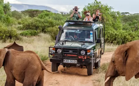 Vete de Safari con tus abuelos, ¡un recuerdo para toda la vida!