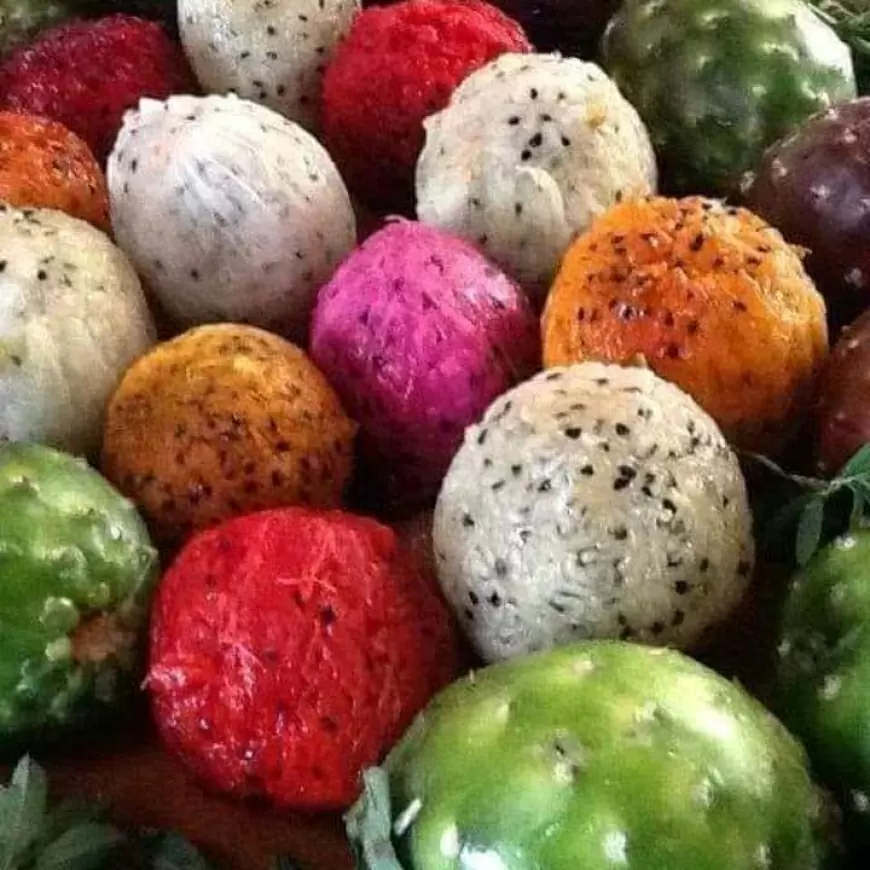 ¿Conoces la comida del desierto? Gastronomía con sabores exorbitantes.