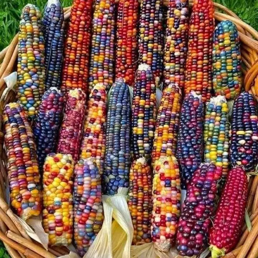 Diferentes colores y sabores.