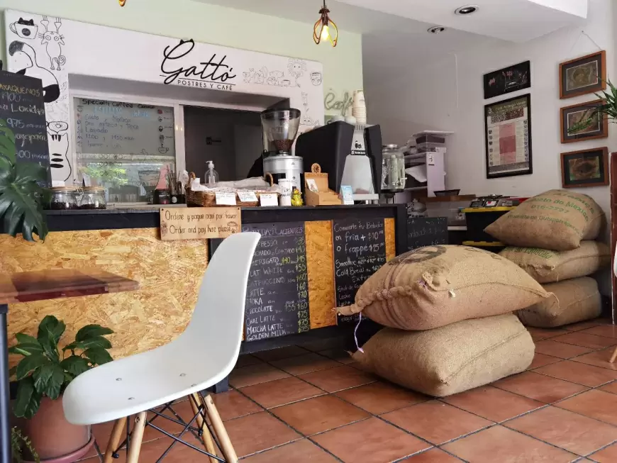 Gattó Café