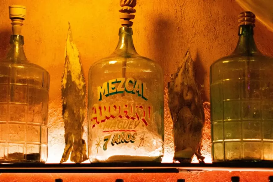 Archivo Maguey: Calle Morelos 509-Centro