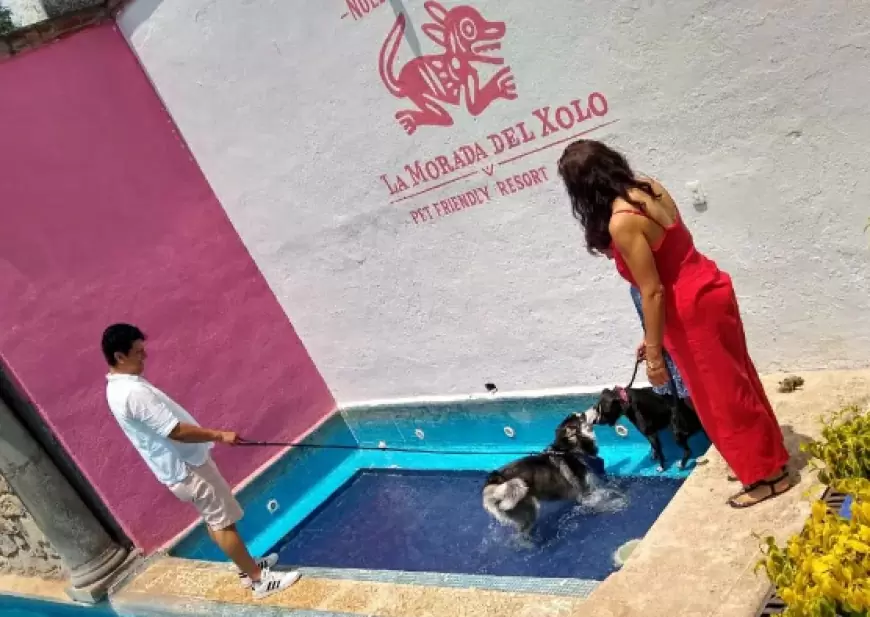 La Morada del Xolo Tepoztlán-Morelos : alojamiento con alberca exclusiva para todos, menú gourmet para mascotas.