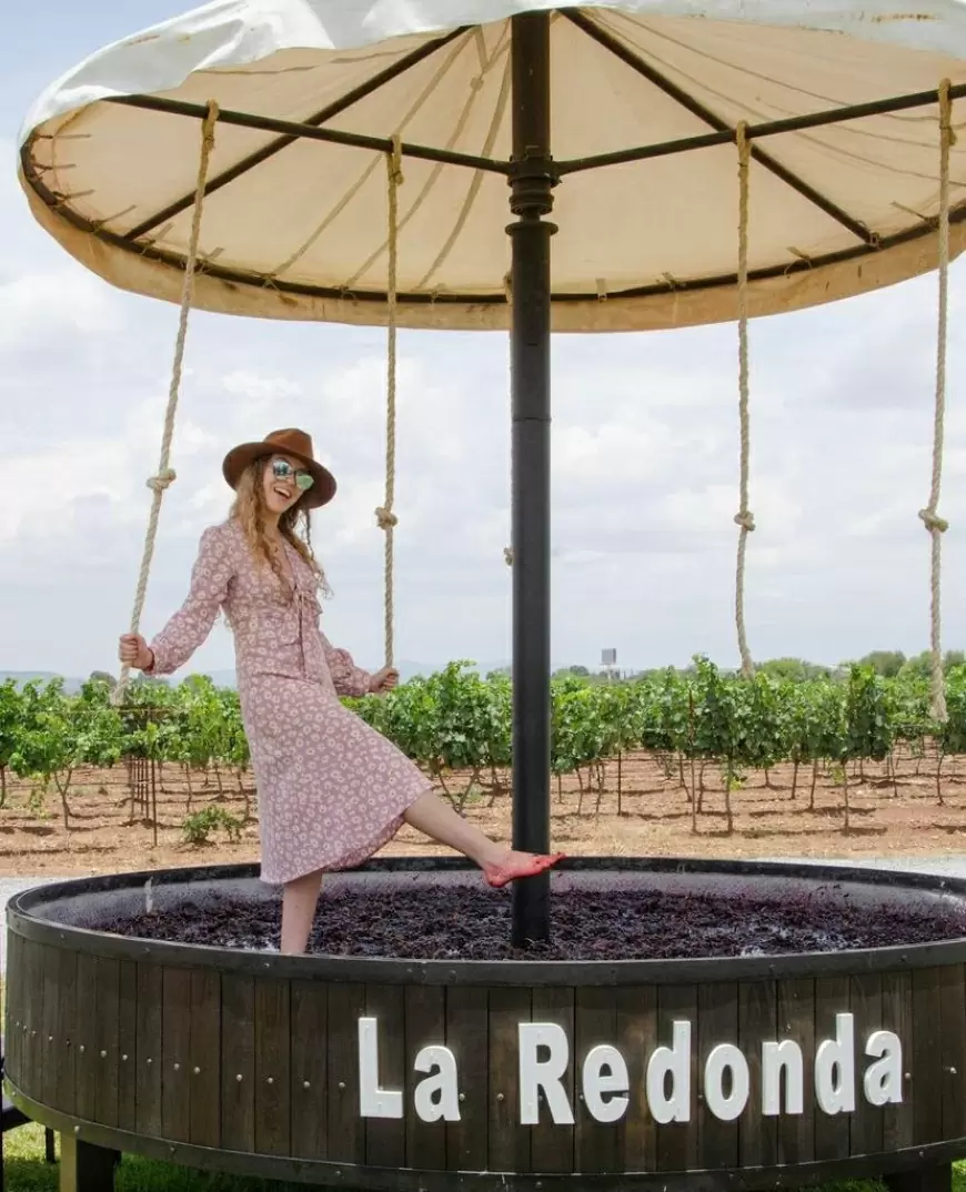 Celebra el espíritu de la tierra y el vino en Viñedos La Redonda