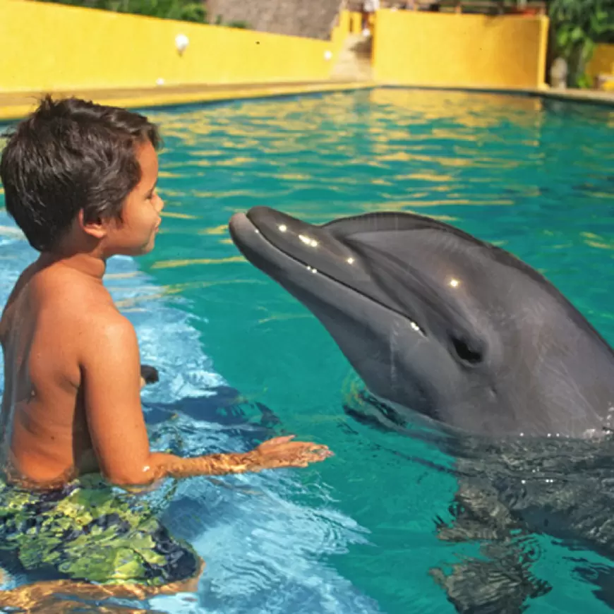 Aquarium del Puerto de Veracruz