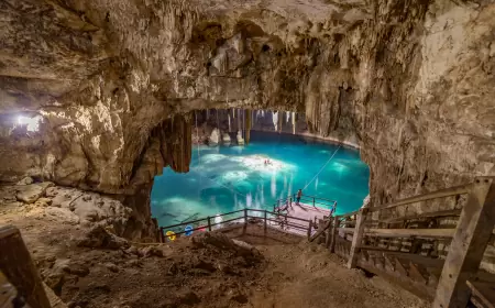 Cenotes de Yucatán: Tesoros Ocultos de la Península
