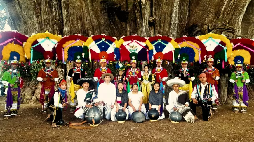 Festejan al gran gigante, fiesta del árbol del Tule