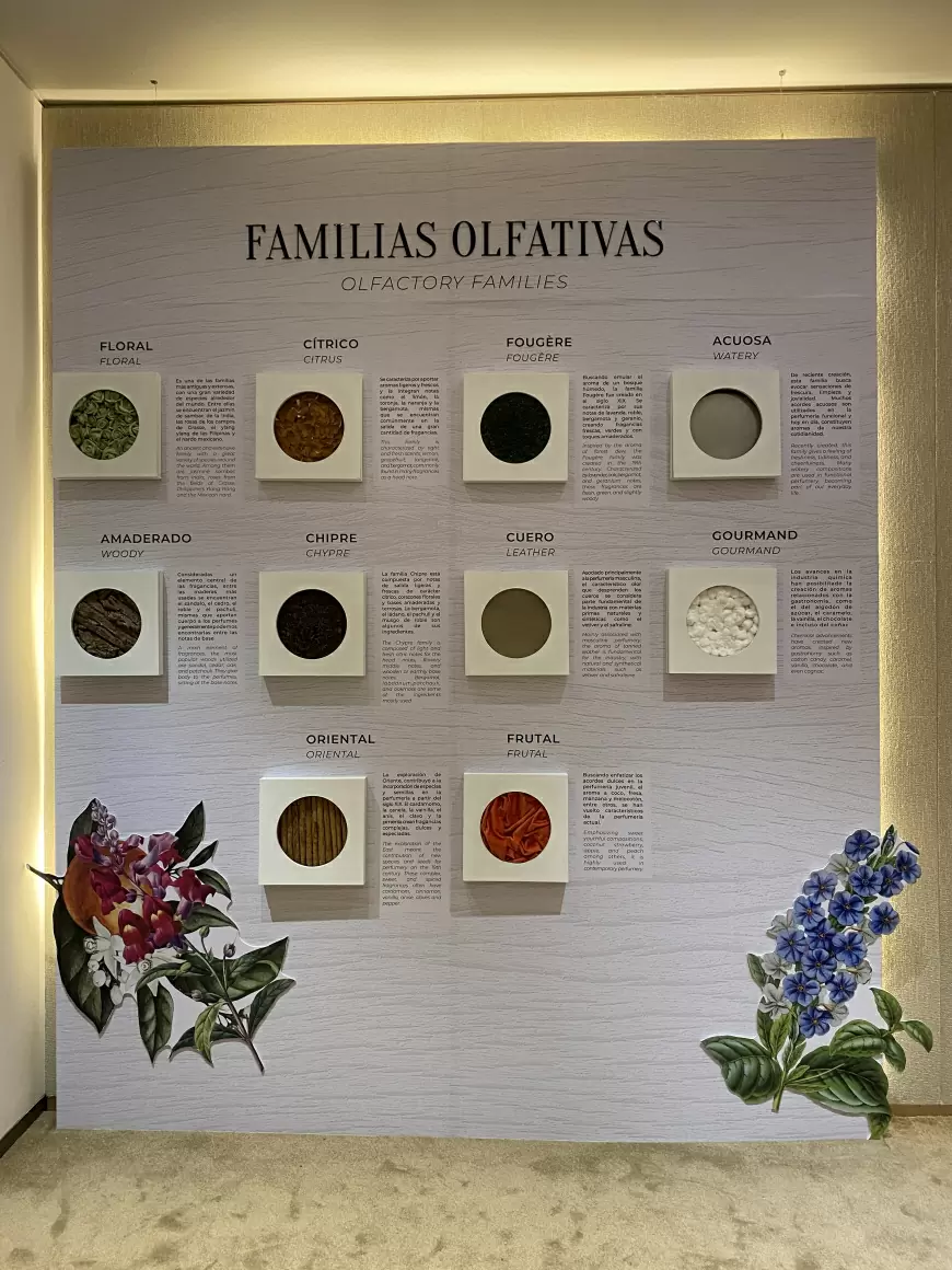 El MUPE (Museo del Perfume) llega a Cancún con una experiencia olfativa única