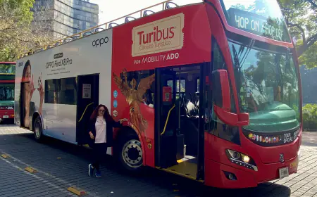 Explora la Ciudad de México con un City Tour: Una Experiencia para No Perderse