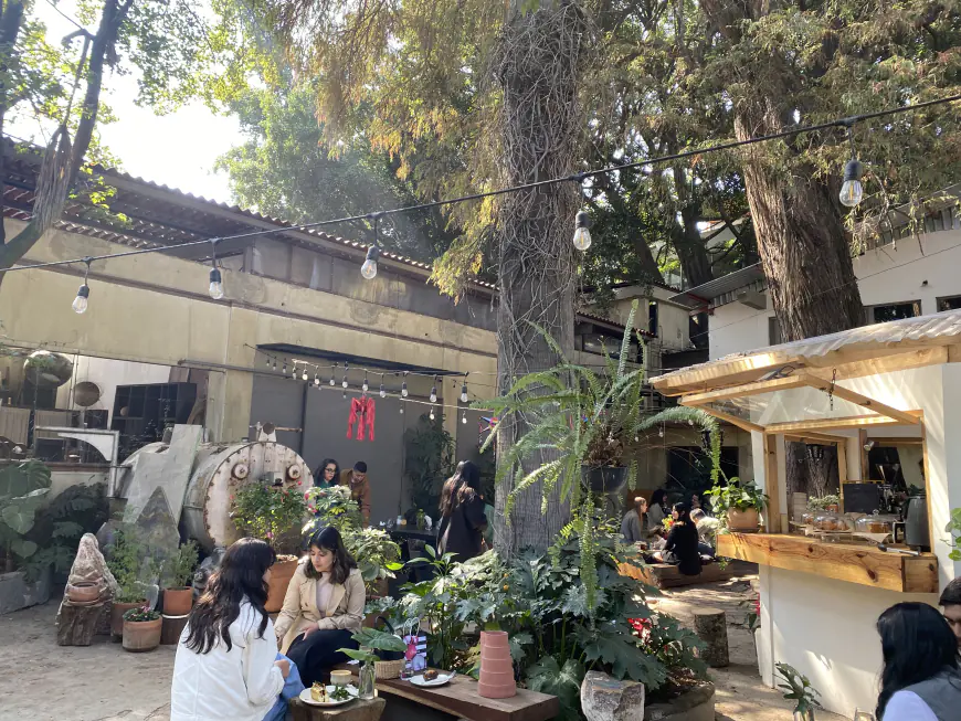 Apiñonado Café: Un Oasis Escondido en la Roma Sur