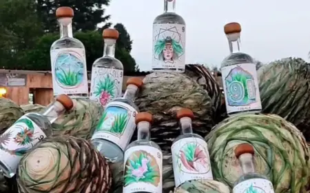 Conoce la Ruta del Mezcal en Puebla