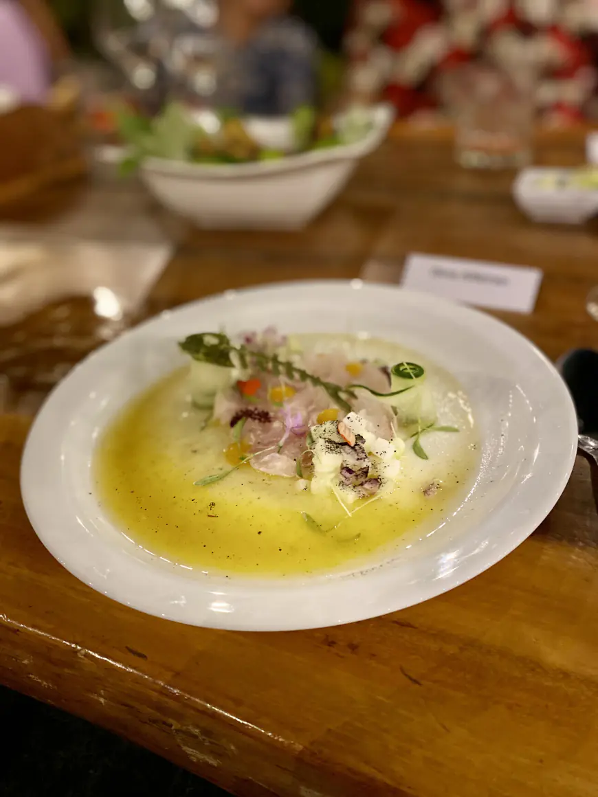 Inició de la Cartelera Gastronómica de Río Lagartos: Un Viaje de Sabores Únicos