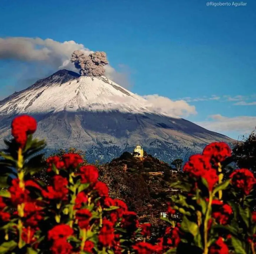 Plant Fest en Cholula, Puebla