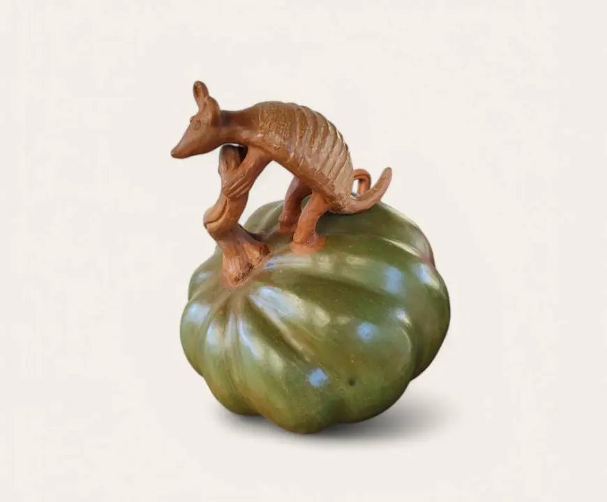 Calabazas mágicas de  Zinapécuaro, Michoacán de Ocampo.