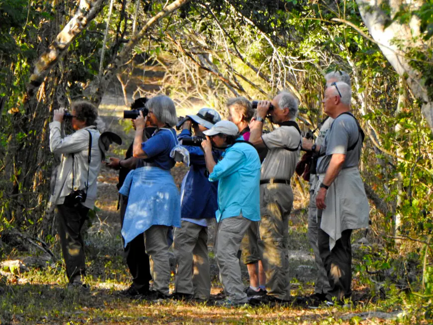 Observación de Aves en Yucatán: Un Paraíso para los Amantes de la Naturaleza