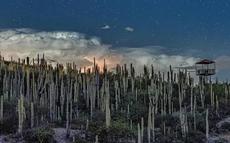 Reserva de la Biosfera, un tesoro vivo en el corazón de Puebla