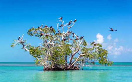 Explora México y haz del Turismo una Causa. 5 Rutas para vivir la Experiencia.