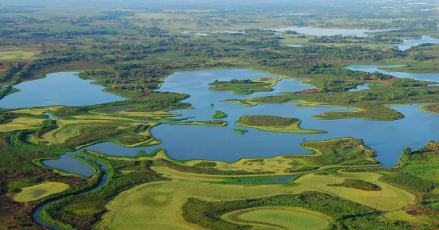 Pantanos de Centla en Tabasco, la joya natural de Mesoamérica.