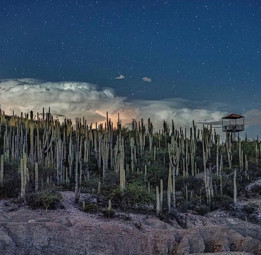 Reserva de la Biosfera, un tesoro vivo en el corazón de Puebla
