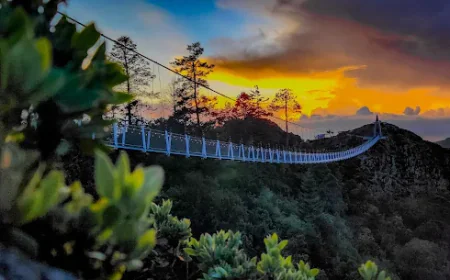 San Antonio Cuajimoloyas y su puente colgante, una experiencia lumínica muy atrevida.