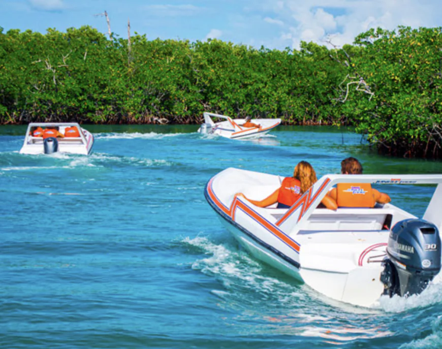 Barracuda Jungle Tour – Snorkel entre manglares y coral