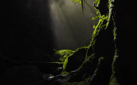Cascada Las Brujas, Ocpaco-Huauchinango, Puebla