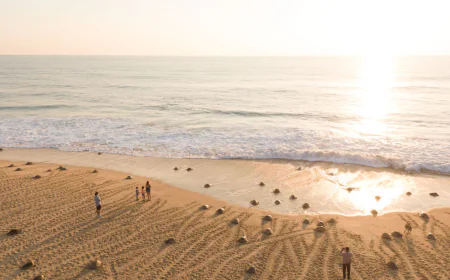 Playa Ixtapilla, Michoacán: Santuario natural de las tortugas golfinas y paraíso eco-friendly.