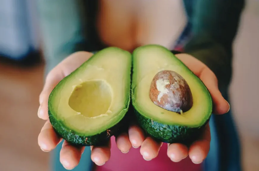 El aguacate mantequilla: el tesoro cremoso del sureste mexicano
