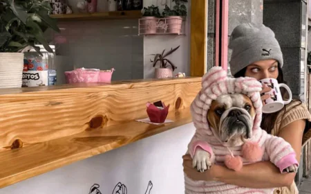 Escapadas Petfriendly: Celebra el Día de la Mascota.